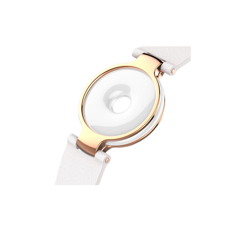 xiaomi moonbeam